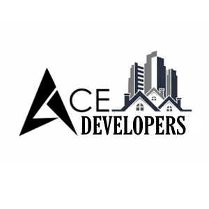 ACE Developers