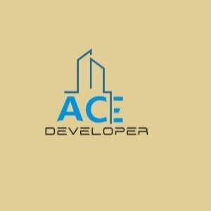 ACE Developers Pune logo