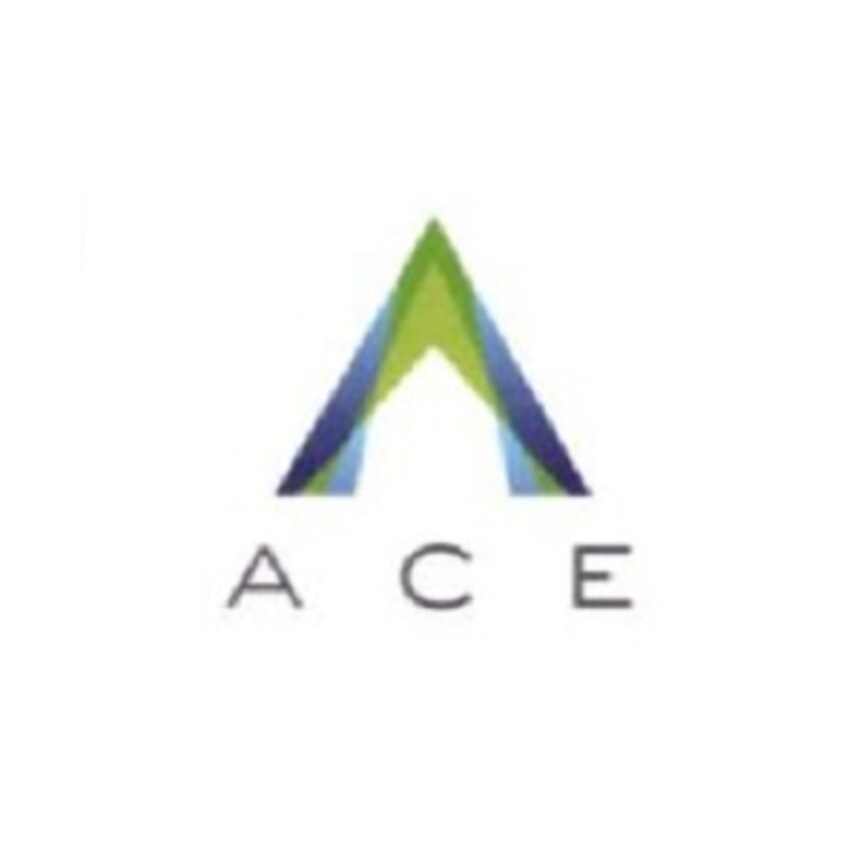 Ace Properties