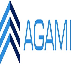 Agami Reality Developer Logo