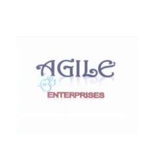 Agile Enterprises developer logo