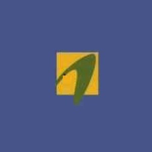 Aintiram Developers developer logo