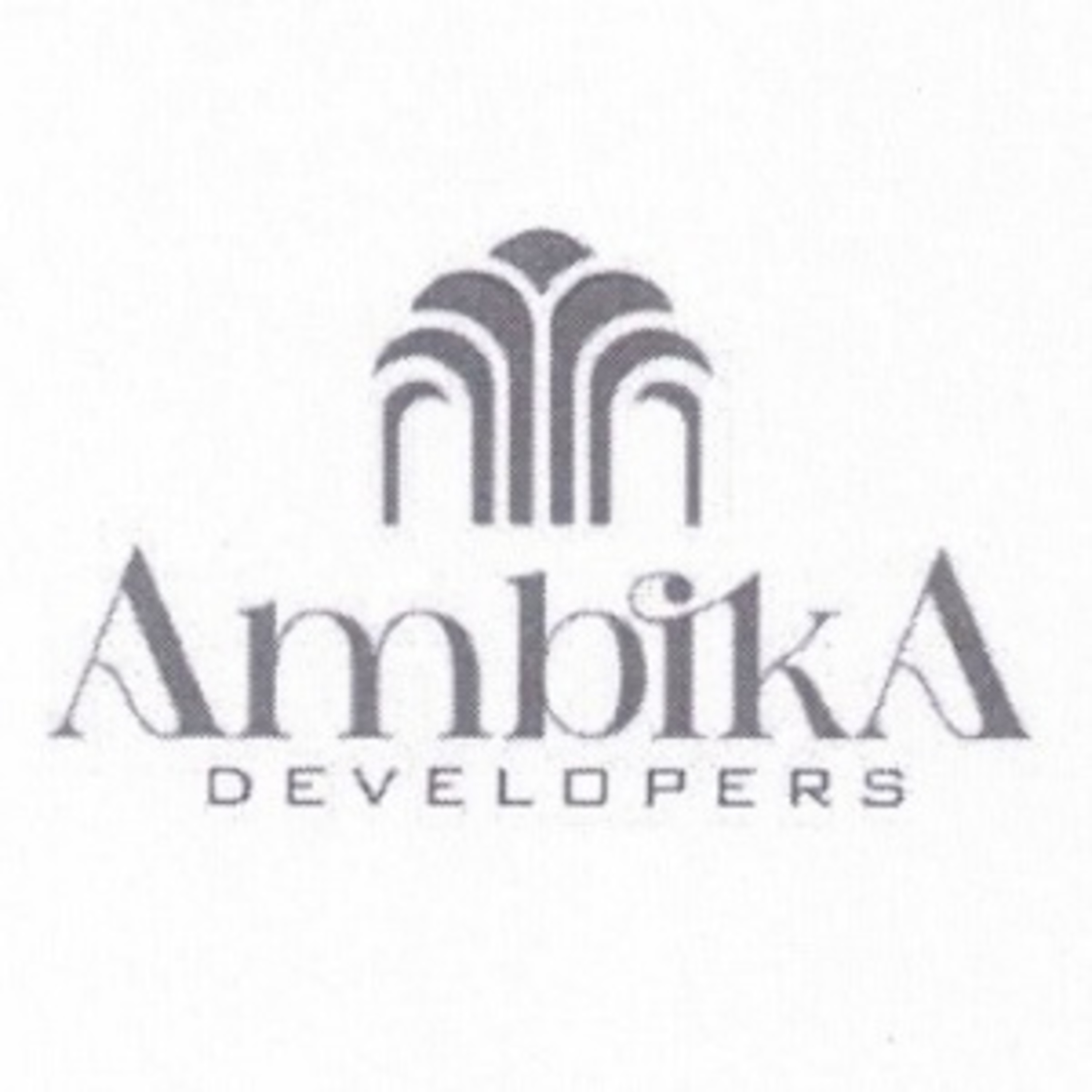 Developer Logo