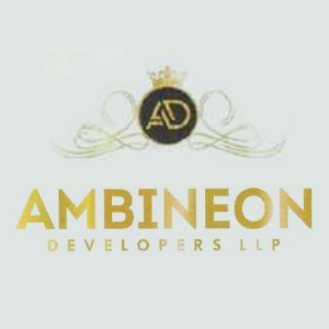 Developer Logo