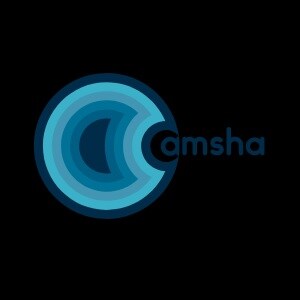 Amsha Ventures Logo