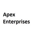 Apex Enterprises Logo