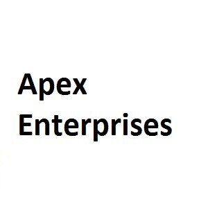 Apex Enterprises developer logo