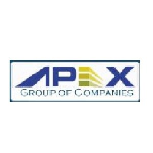 Apex Group of Companies Developer Logo