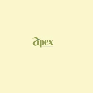 Apex Infraventures logo