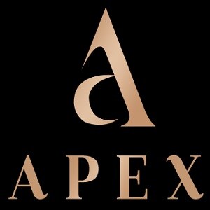 Apex Real Estate Developer Logo