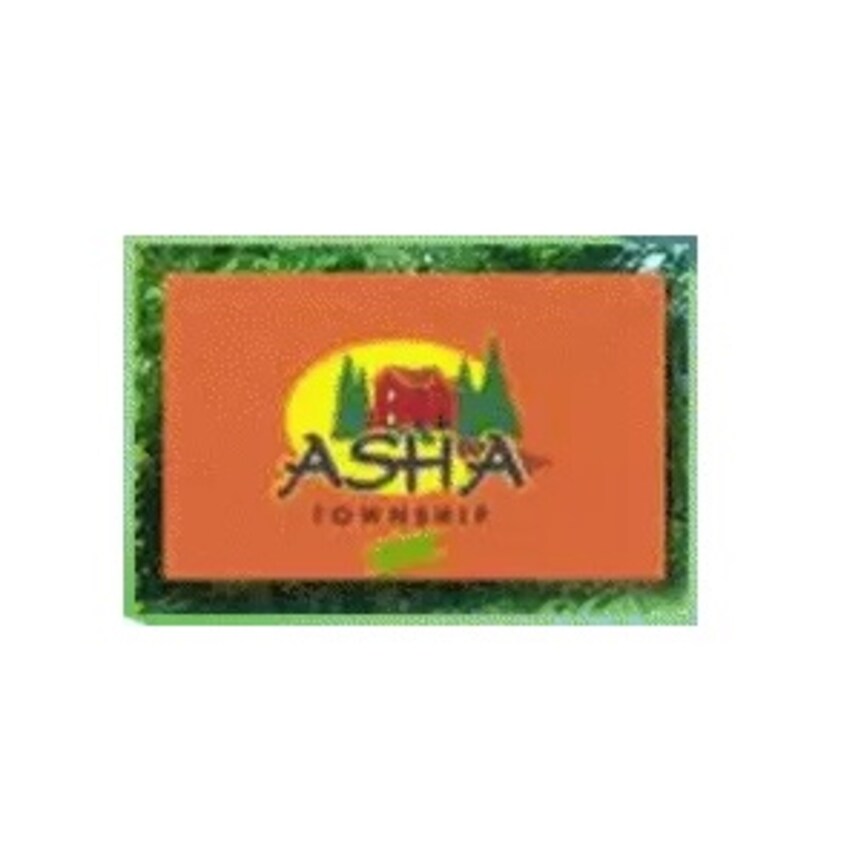 Asha Promoters And Developers