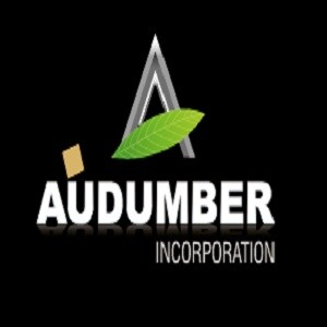 Audumber Incorporation Developer Logo