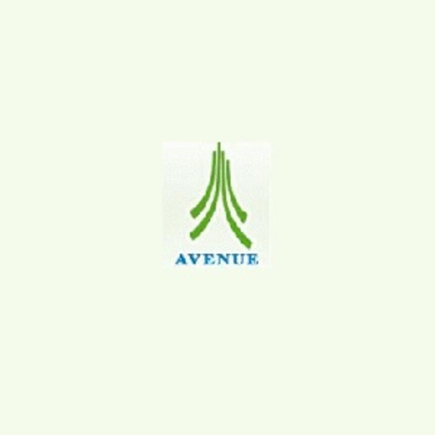 Avenue Homes And Realtors India Pvt Ltd