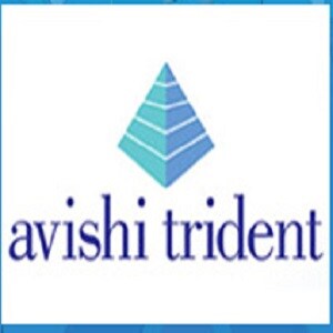 Avishi Projects developer logo