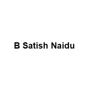 B Satish Naidu developer logo