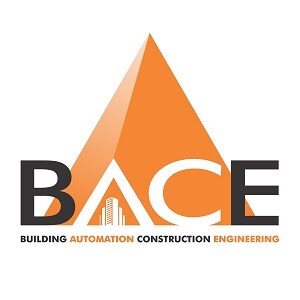 BACE India LLP logo