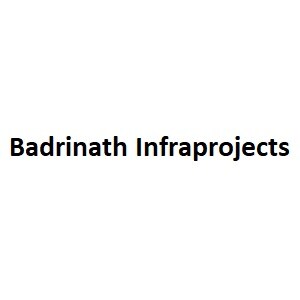 Badrinath Infraprojects developer logo
