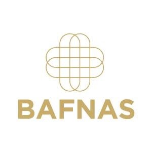 Bafna Group Logo