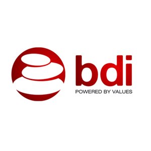 BDI developer logo