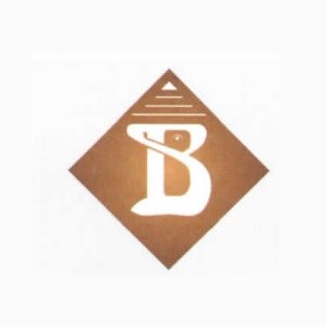 Bhawani Shankar Builders And Devlopers logo