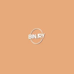 Binary Realty logo