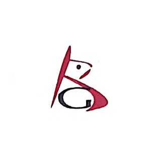 Binayak Group logo