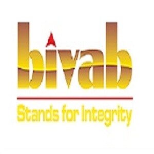 Bivab Developers P Ltd developer logo