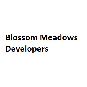 Developer Logo