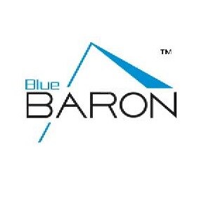 Blue Baron Realtors logo