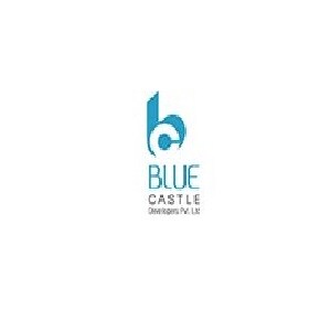 Blue Castle Developer Pvt Ltd Logo