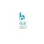 Blue Castle Developer Pvt Ltd