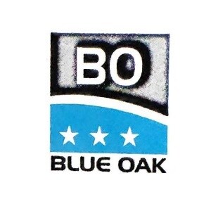 Blue Oak Infrastructure logo