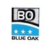 Blue Oak Infrastructure Blue Oak Infrastructure Developer Logo