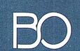 Blue Ocean Realty Developer Logo