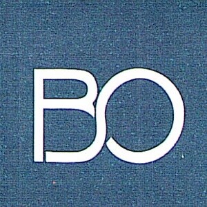 Blue Ocean Realty logo