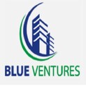 Blue Ventures Logo