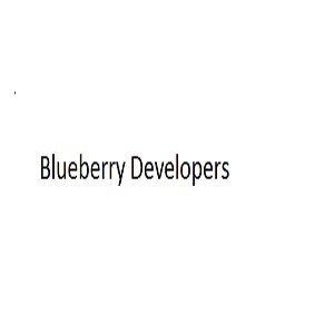 Blueberry Developers Developer Logo