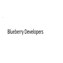Blueberry Developers