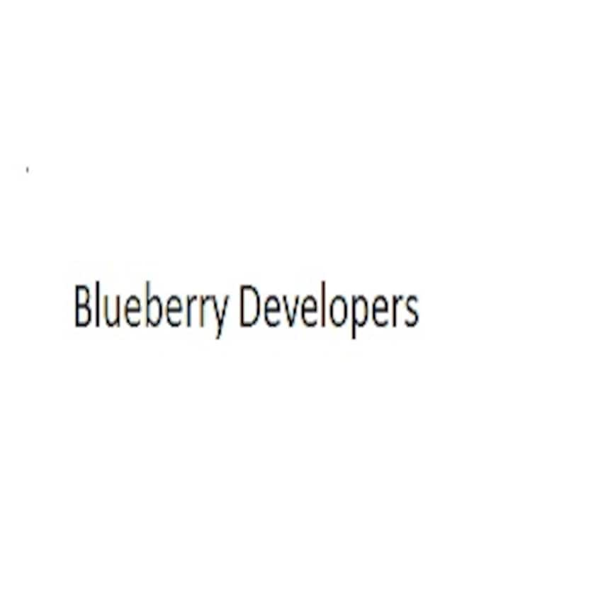 Blueberry Developers