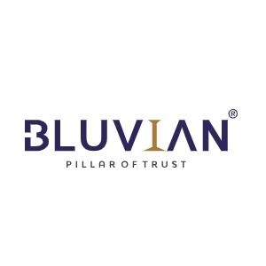 Bluvian Group Logo