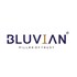 Bluvian Group Developer Logo