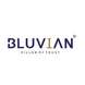 Bluvian Group