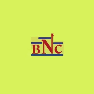 BNC Construction Developer Logo