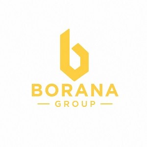 Borana Group logo