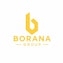 Borana Group