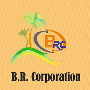 BR Corporation Logo