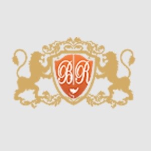 BR Property Developers logo