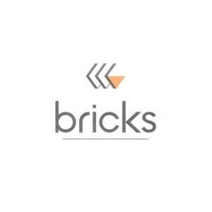 Bricks Infrastructure developer logo