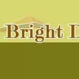 Bright Developers developer logo