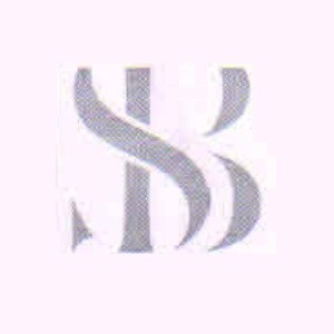 BS Enterprises logo
